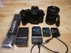 Panasonic LUMIX DMC-G8 おまけ付属品あり