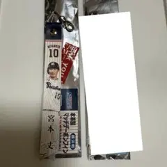 ヤクルトスワローズ 宮本選手