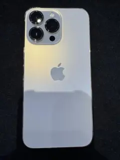 iPhone 13Pro【美品だけど訳あり品】ジャンク