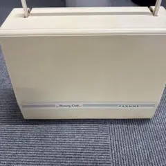 Item thumbnail for item 421e1be8-ff6c-43a2-8d70-8dd3b014b280