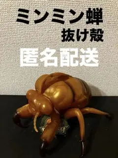 セミの抜け殻 BIG フィギュア