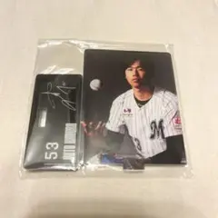 千葉ロッテマリーンズ　木村優人　アクリルスタンド