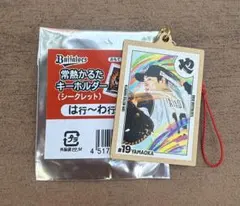 山岡泰輔　オリックスバファローズ　情熱かるたキーホルダー