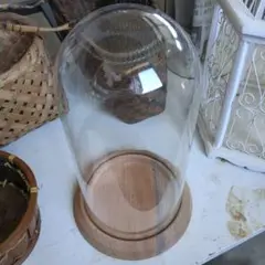 ガラスドーム 木製台座付き