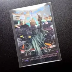 RIZINポテトスティック ポスターカードコレクション　07 RIZIN.20