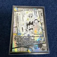 ヒロインザベスト　理想と平和の決断【SR】{25EX1MC6/MC10}