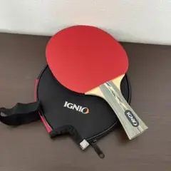 卓球 ラケット IGNIO