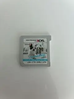 Nintendo 3DS ニンテンドックス プラス キャッツ