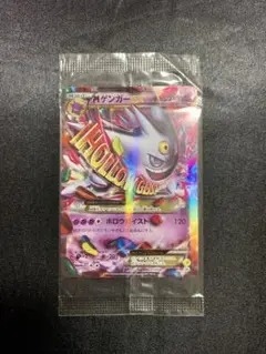 最安値　Mゲンガー　色違い　プロモ　psa10 Yahoo!オークション - PSA10 MゲンガーEX プロモ 色違い 079/xy