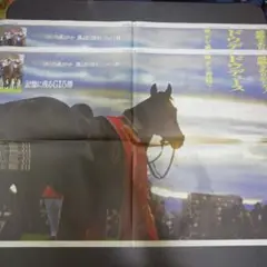 ドウデュース　新聞広告