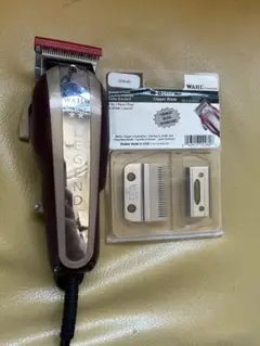 Item thumbnail for item 06e75f49-6012-4f1f-9cb5-f5f1e644893c