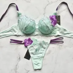 サルート　66G　セット