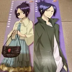 家庭教師ヒットマンREBORN！スティックポスター2枚