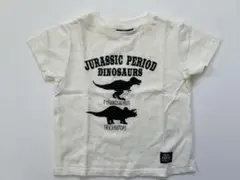 キッズ　恐竜Tシャツ　半袖Tシャツ　110サイズ