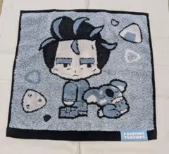 ポケモントレーナー タオル 青系