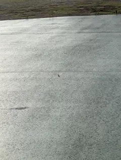 思い出