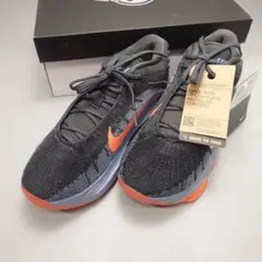 Item thumbnail for item 88afff73-a568-4cd5-98c7-df1208f7d192