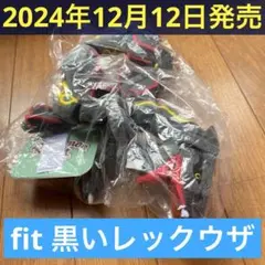 【ポケモンセンター限定】D 黒いレックウザ ぬいぐるみ Pokémon fit