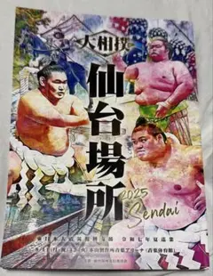 大相撲仙台場所 2025 プログラム　おまけで取り組み表付き