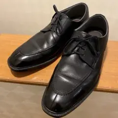 ビジネスエクスプレス　ゴアテックス仕様27.0