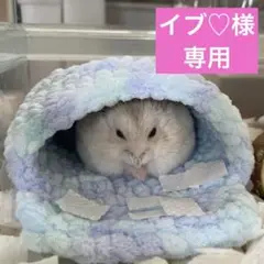 イブ♡様 専用です