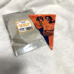 清水エスパルス　プレイヤーズガーランド