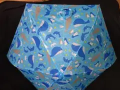 Item thumbnail for item 04e3e702-88d5-4bd4-93e5-a1efa9d02672