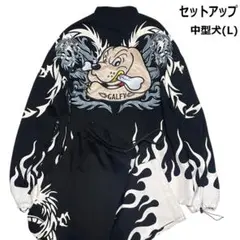 Item thumbnail for item e19cb683-cf0e-469d-95cd-35c44d09f958