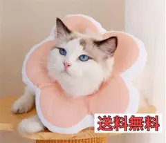 Item thumbnail for item e264fccc-bcbd-4df4-b8da-ece9fd802575