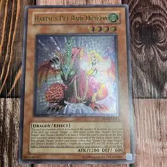 遊戯王　英語版　ハーピィズペット仔竜　レリーフ