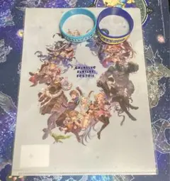 グラブルフェス 2018 2019day2 リストバンド クリアファイル セット