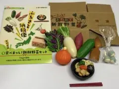 リーメント　ふるさと納税便　5 食べまっし！新鮮野菜セット 石川県産