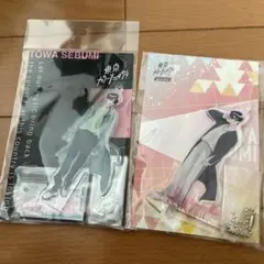 東京カラーソニック!! まとめ売り　瀬文永久