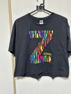 ZUMBA カラフルゼブラ Tシャツ（Ｍ）