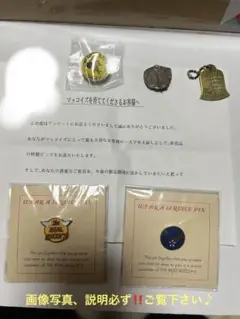 THE REAL McCOY'S ピンバッジ 未使用 極レア希少‼️最最最終土日限定‼️リアルマッコイズ Buco