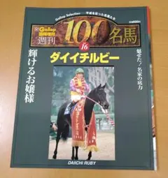 臨時増刊　週刊100名馬　ダイイチルビー⑯