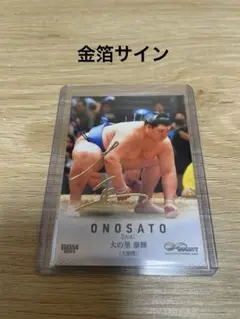 Item thumbnail for item bcf2760f-61cb-472c-aa31-64f635ad3799