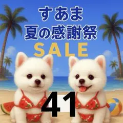 ✨夏の感謝祭セール✨パネル【Ｎｏ．41】