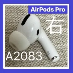 AirPods Pro 純正 エアーポッズ プロ L 右耳uu