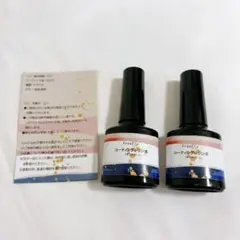レジン液 UVレジン液 さらさら コーティング液 10g ×2本 艶出し