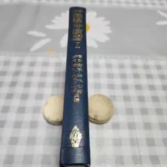 詳解微積分演習Ⅰ　共立出版発行　古本