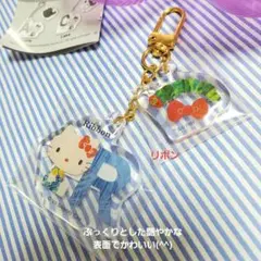 ツインアクリルキーホルダー キティ はらぺこあおむし リボン 新品未開封