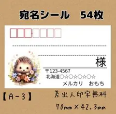【A-3】宛名シール54枚/サンキュー/ほんのきもち/ケア/差出人/配達員