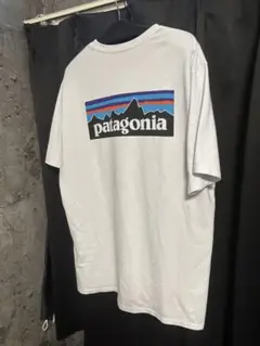 patagonia パタゴニアP-6ロゴ・レスポンシビリティー ホワイト2023