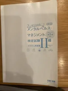 スッキリわかる メンタルヘルス・マネジメント II