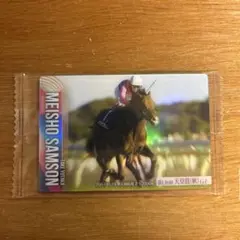 サラブレッドホースコレクション【メイショウサムソン】※サイン無し