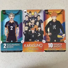ハイキュー チケットライクコレクション 烏野