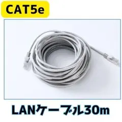 LANケーブル 灰色 30M RJ-45 8芯 Cat5 最大100Mbps