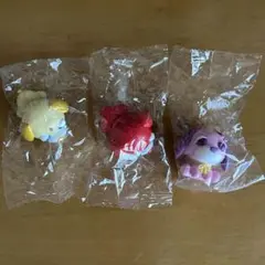 【匿名配送】お茶犬　まちぼうけ　アール　ハナ　チャイ