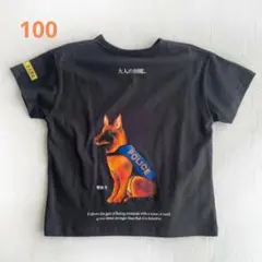 100 大人の図鑑 Tシャツ キッズ服 子供服 夏服 夏用 半袖